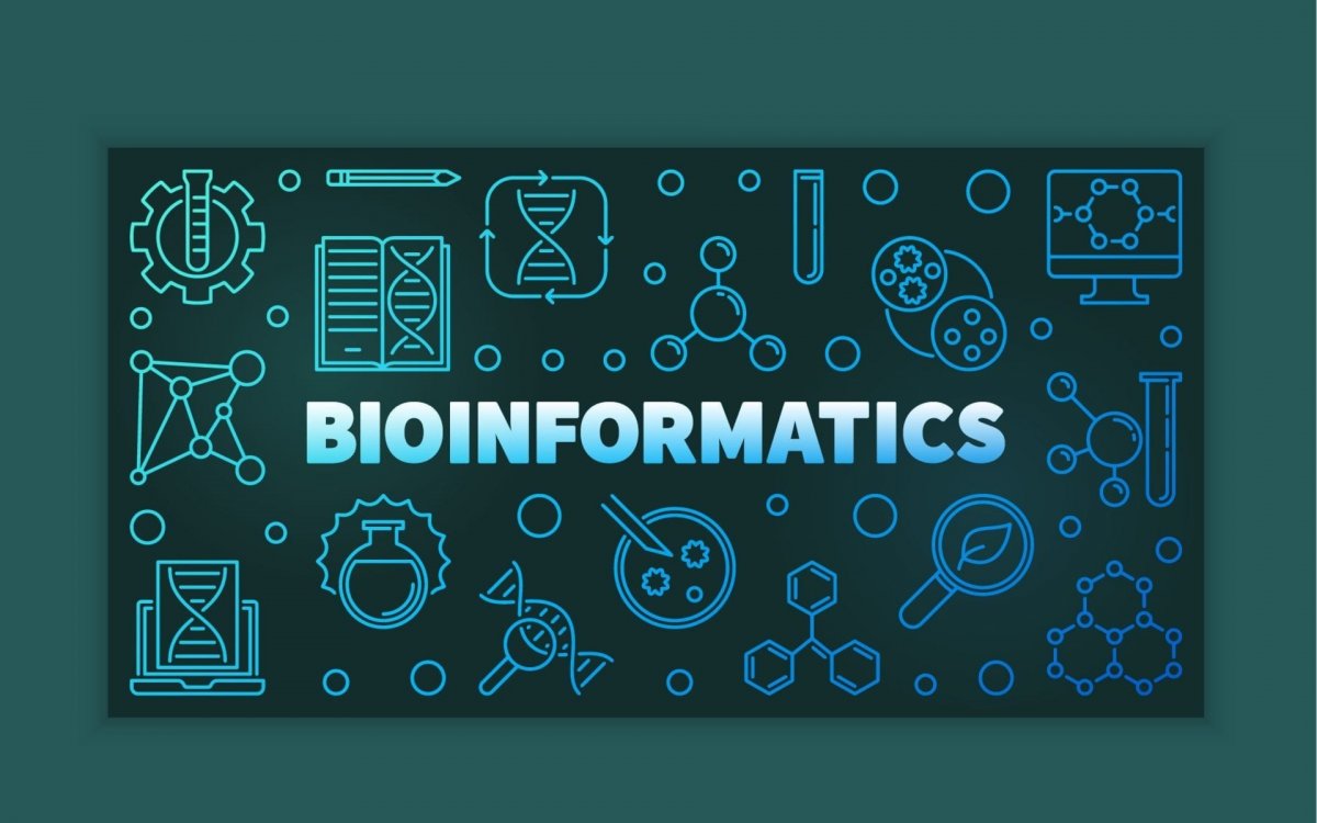 The Intersection of IT and Bioinformatics 